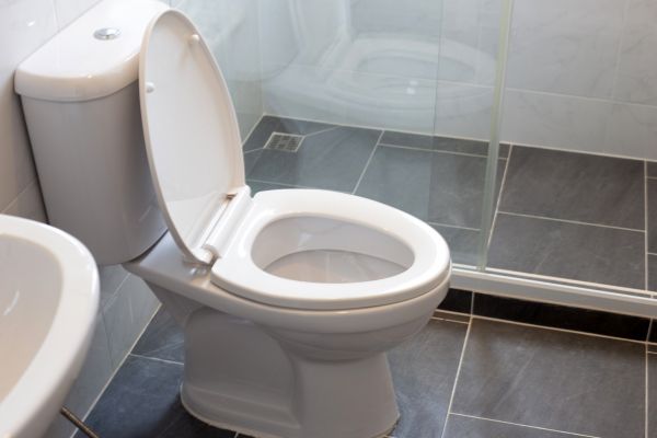 Cost of Toilet Replacement in Suffolk