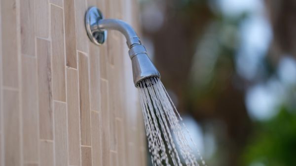 Cost of Showerhead Repair in Suffolk