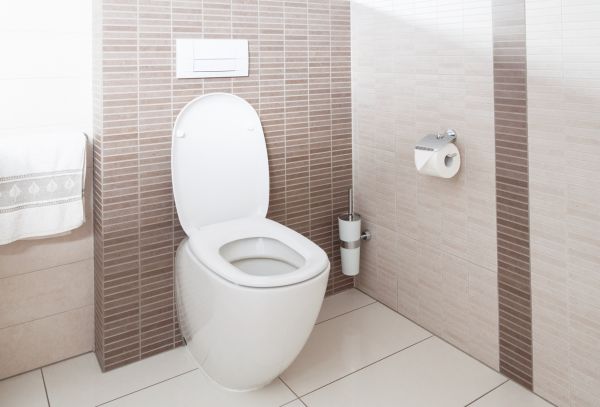 Cost of Toilet Plumbing Installation in Suffolk